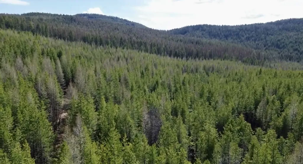 Nhn Iron Horse Road Trego MT 59934