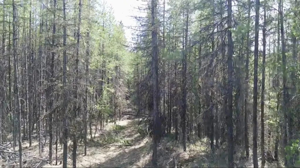 Nhn Iron Horse Road Trego MT 59934