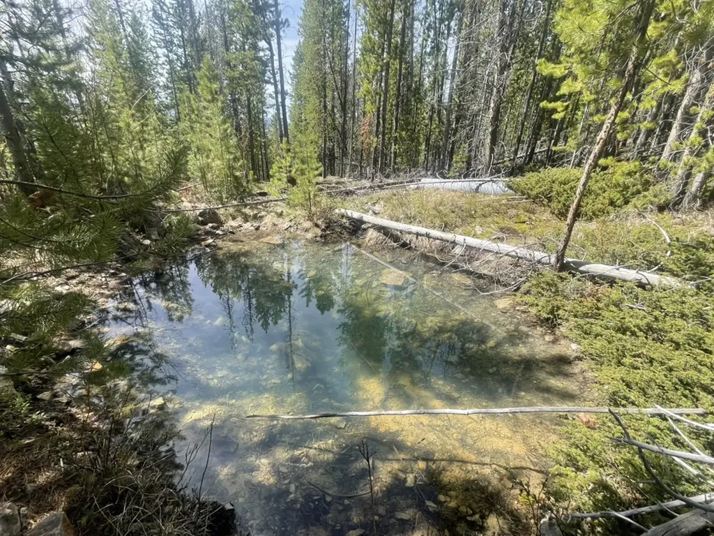 309 Wapiti Trail Anaconda MT 59711