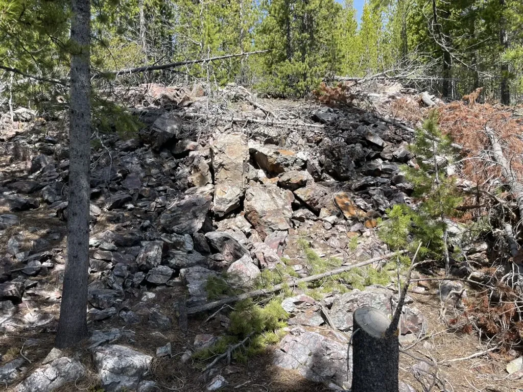 309 Wapiti Trail Anaconda MT 59711
