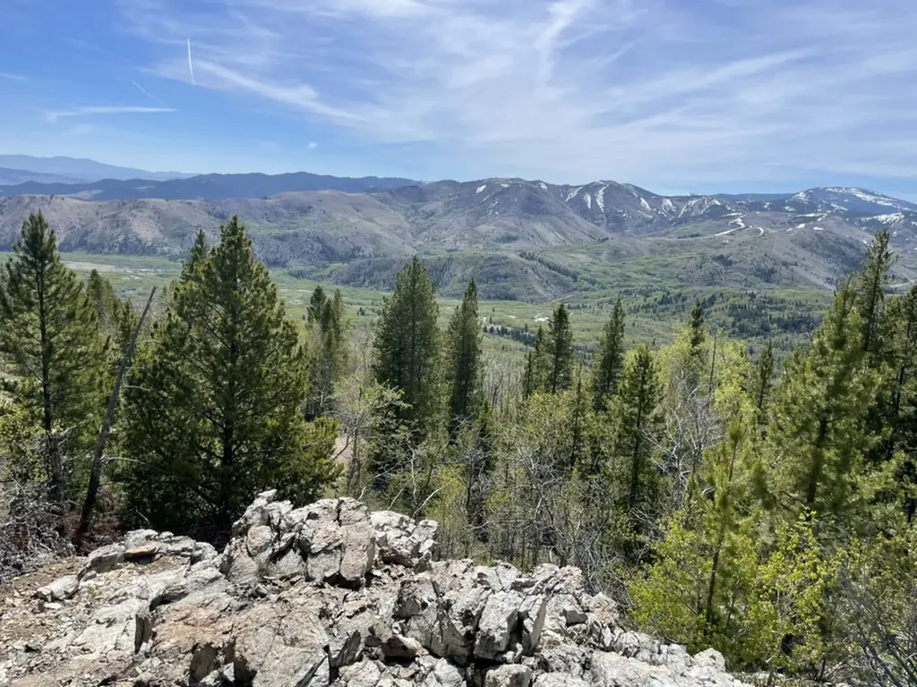 309 Wapiti Trail Anaconda MT 59711