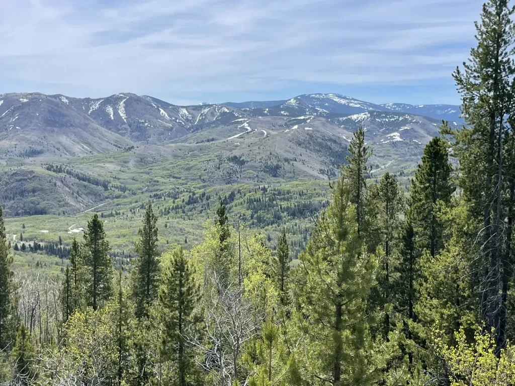309 Wapiti Trail Anaconda MT 59711