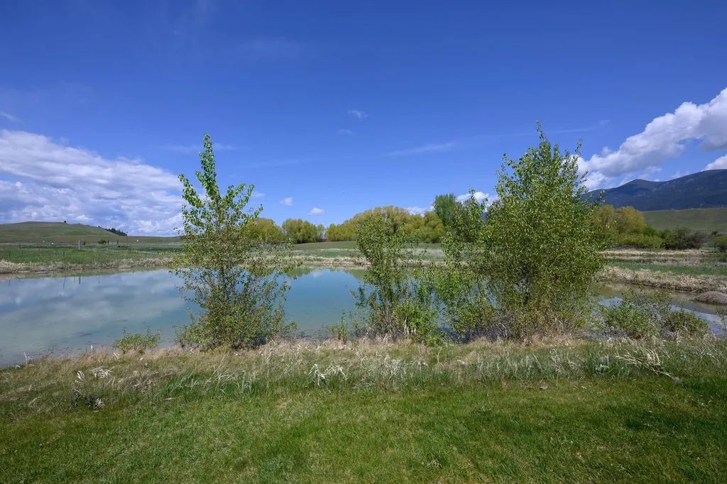 446 Kingfisher Loop Eureka MT 59917