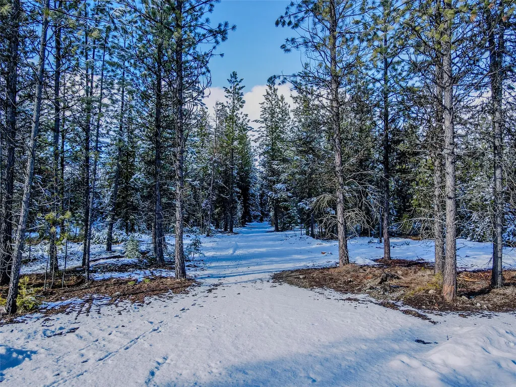 Lot 14 Klabo Drive Libby MT 59923