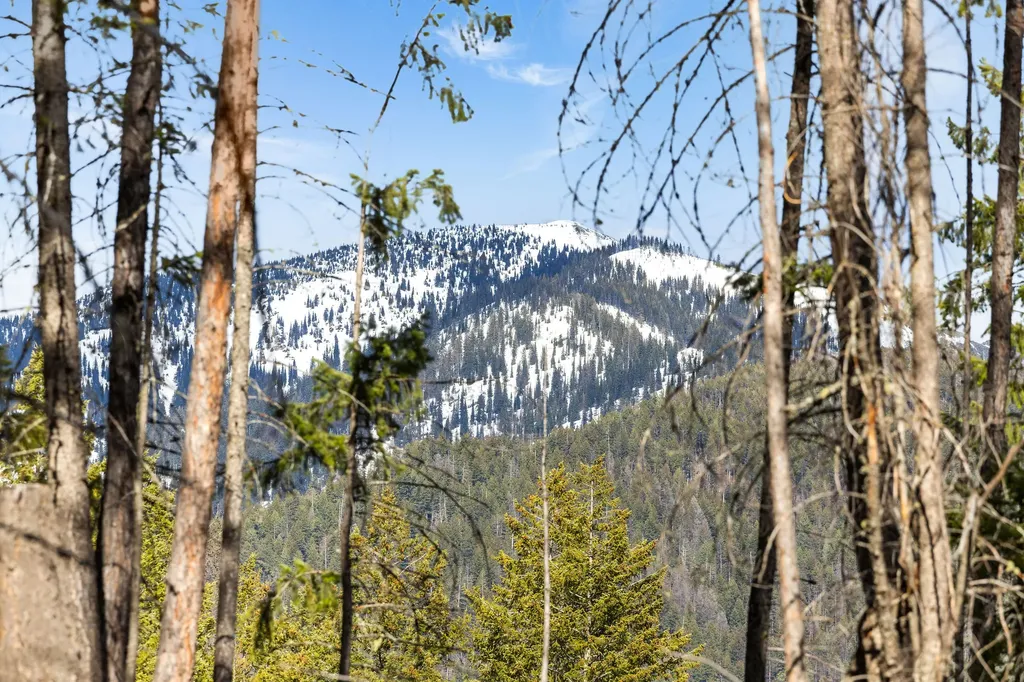 310 Rolling Ridge Drive Kalispell MT 59901