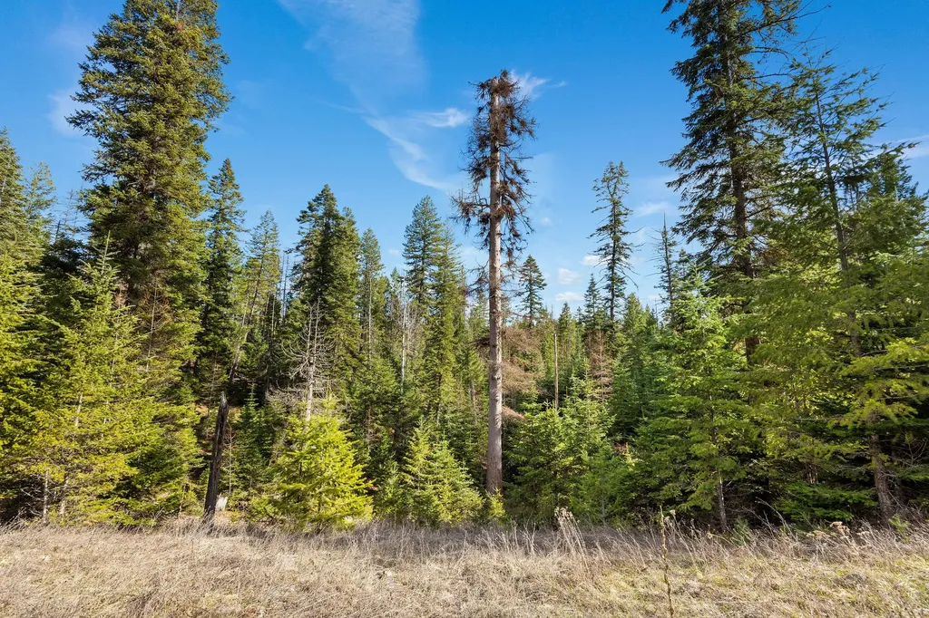 310 Rolling Ridge Drive Kalispell MT 59901