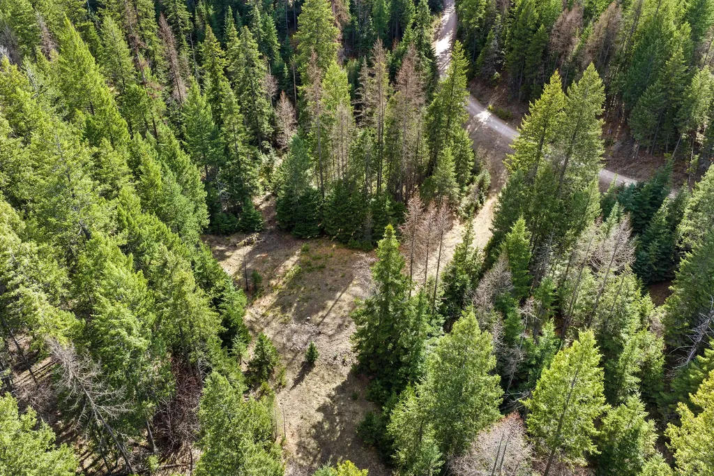 310 Rolling Ridge Drive Kalispell MT 59901