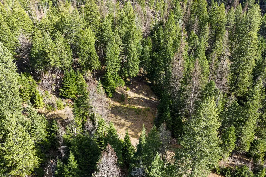310 Rolling Ridge Drive Kalispell MT 59901