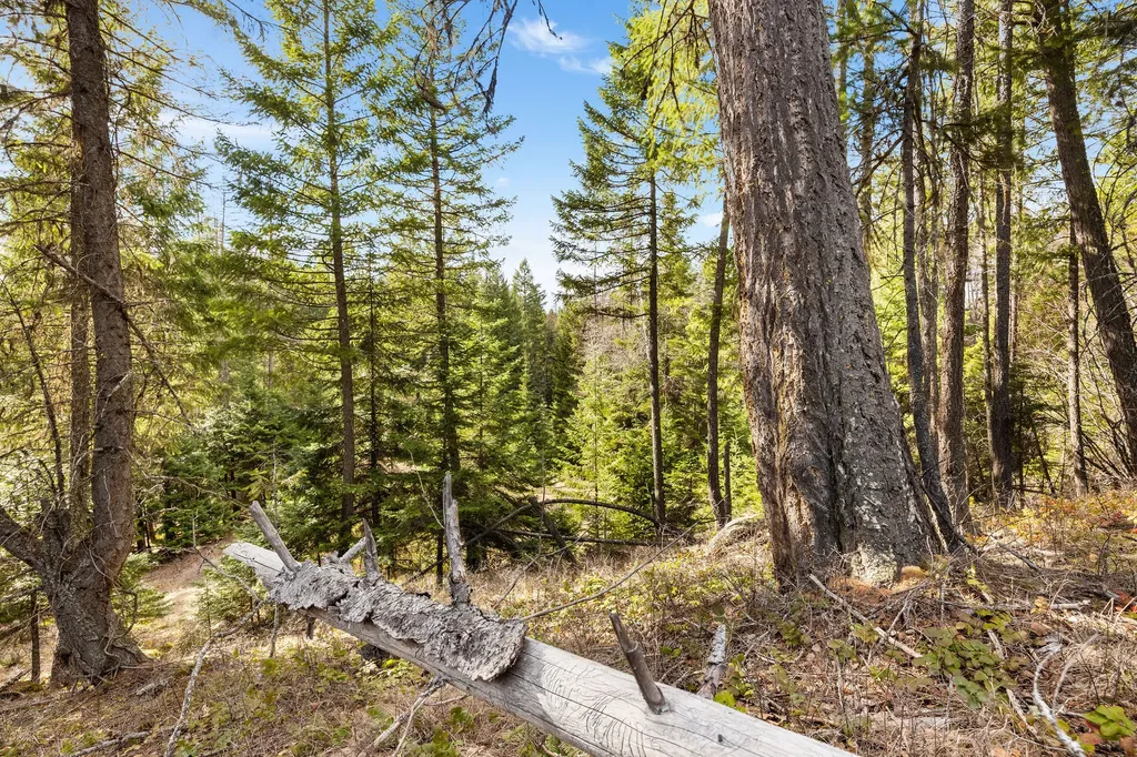 310 Rolling Ridge Drive Kalispell MT 59901