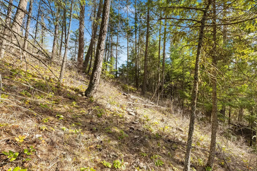 310 Rolling Ridge Drive Kalispell MT 59901