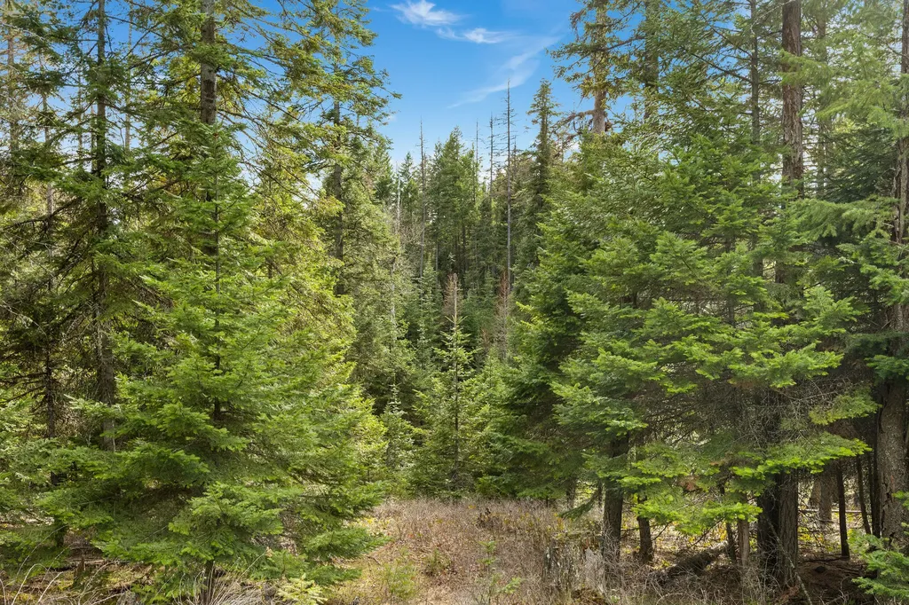 310 Rolling Ridge Drive Kalispell MT 59901