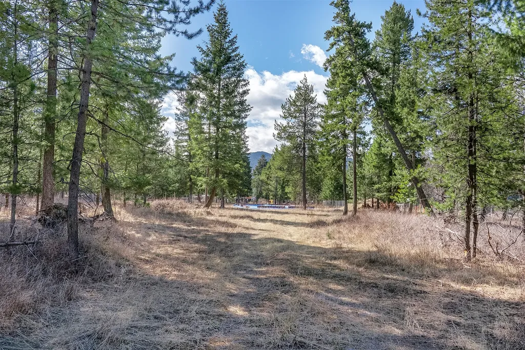 7 Trinkus Lane Bigfork MT 59911