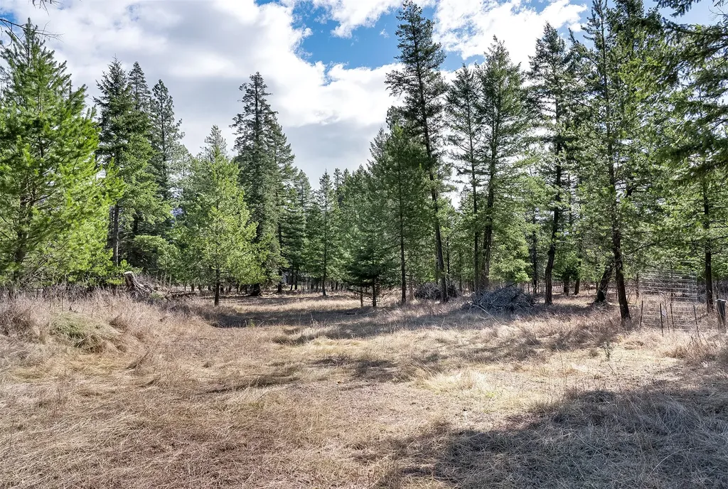 7 Trinkus Lane Bigfork MT 59911