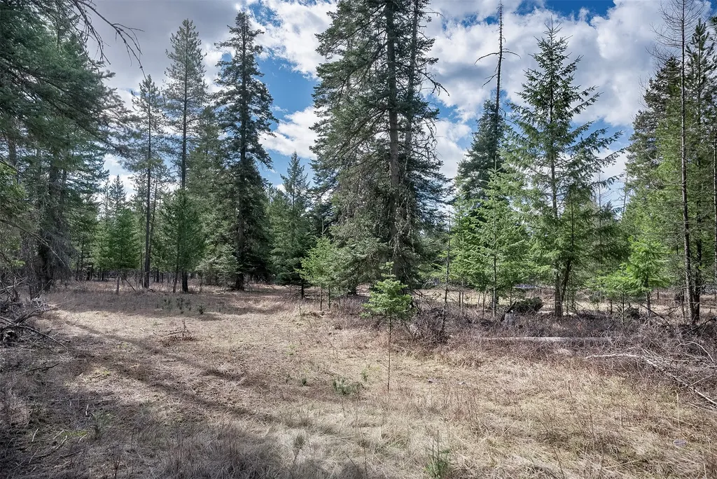 7 Trinkus Lane Bigfork MT 59911