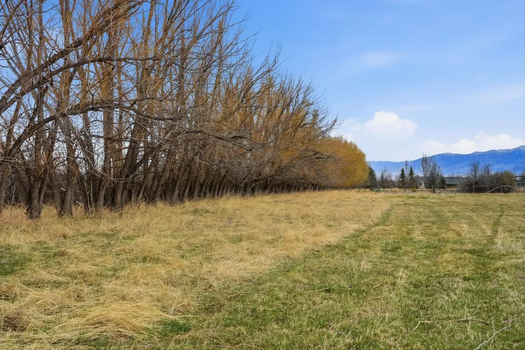 6133 Bigelow Road Bozeman MT 59718
