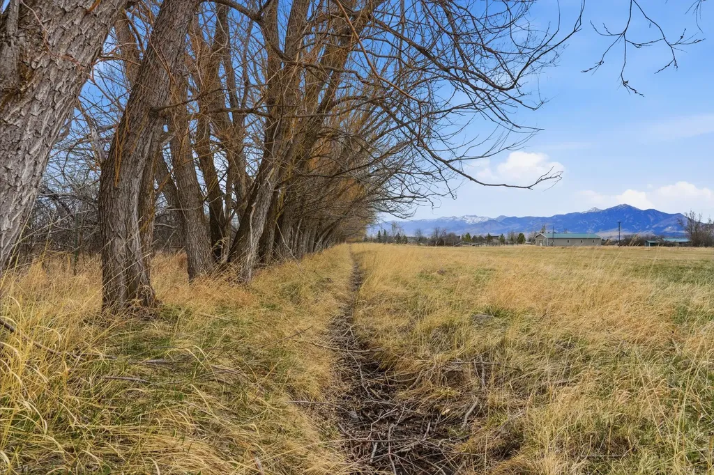 6133 Bigelow Road Bozeman MT 59718