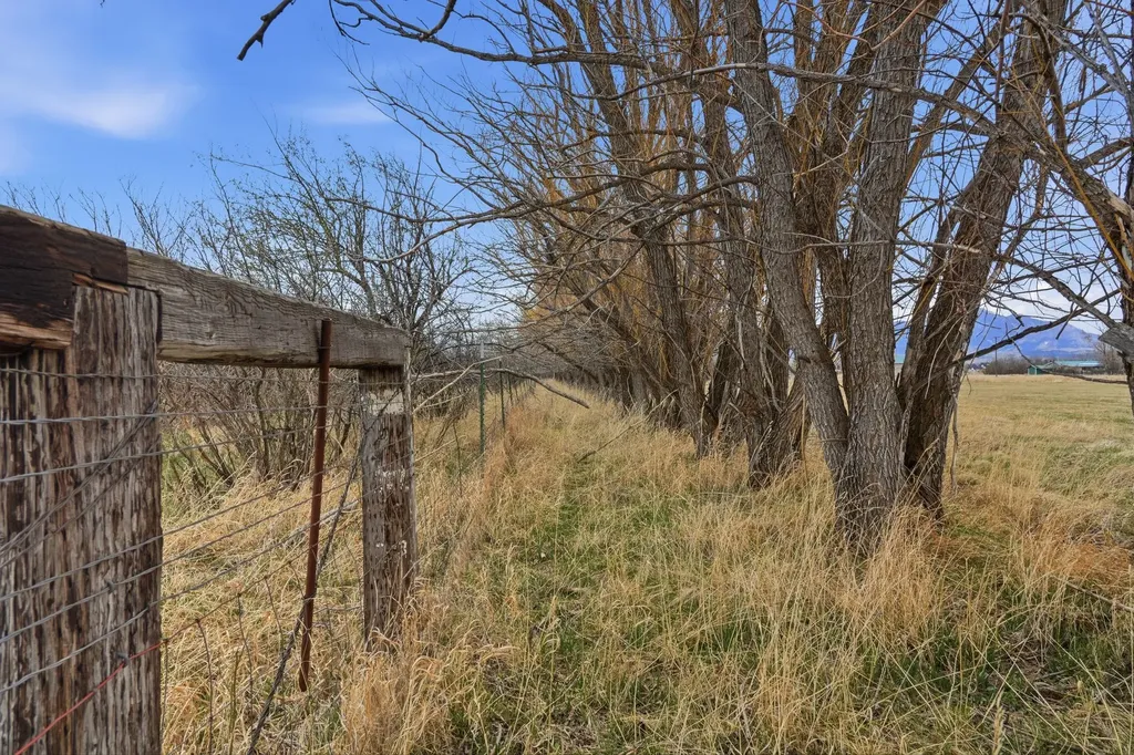6133 Bigelow Road Bozeman MT 59718