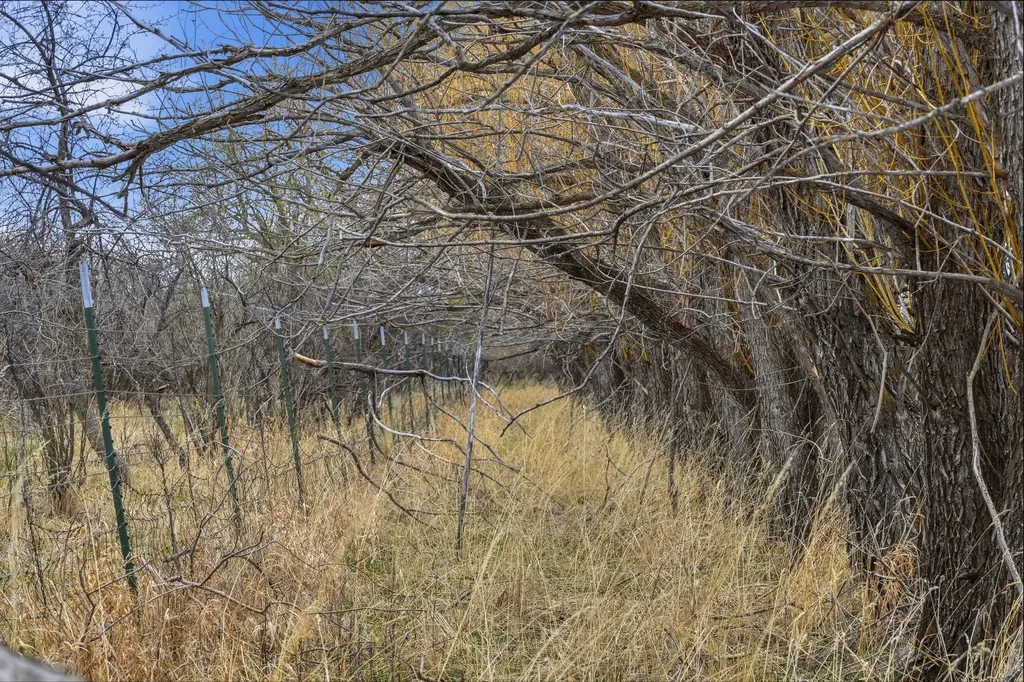 6133 Bigelow Road Bozeman MT 59718