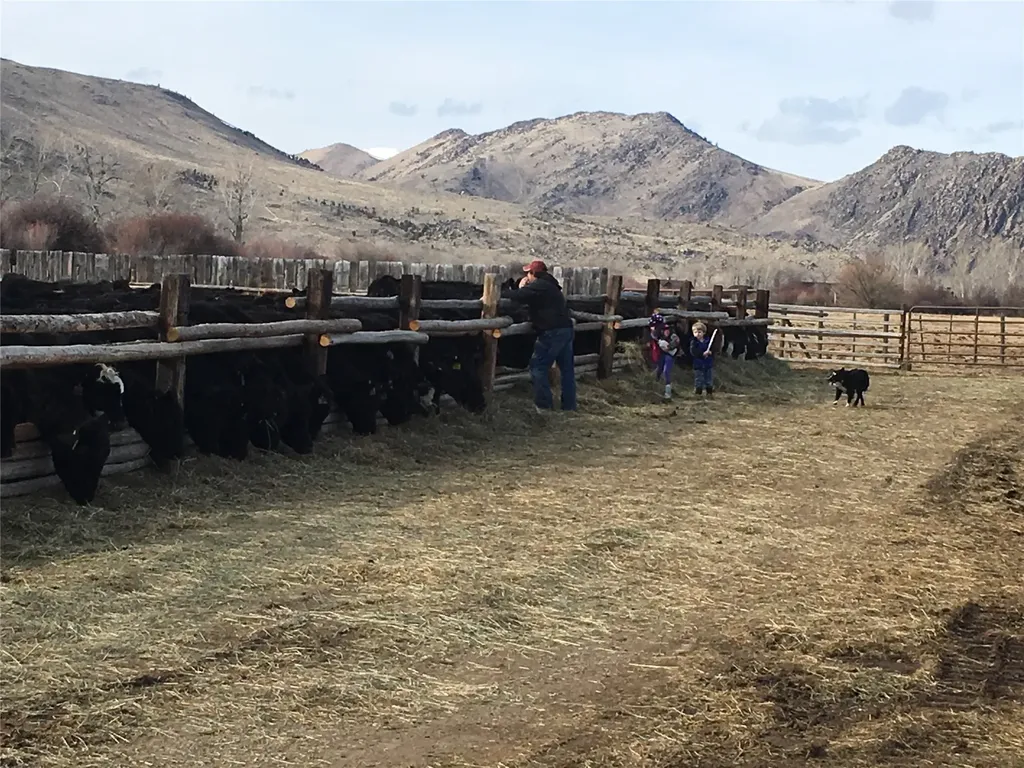 263 W Bovine Way Melrose MT 59743