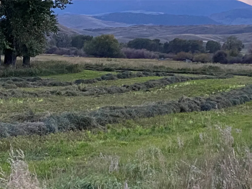 263 W Bovine Way Melrose MT 59743
