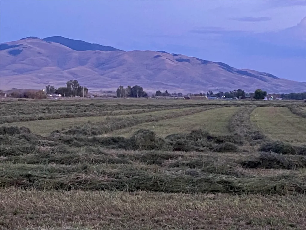 263 W Bovine Way Melrose MT 59743
