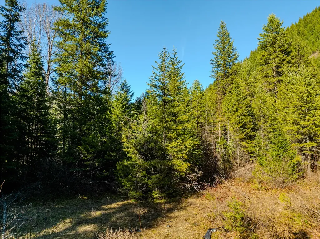 Nhn Pilgrim Creek Road Noxon MT 59853