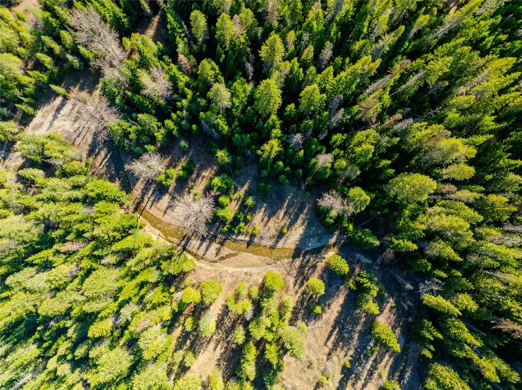 Nhn Pilgrim Creek Road Noxon MT 59853