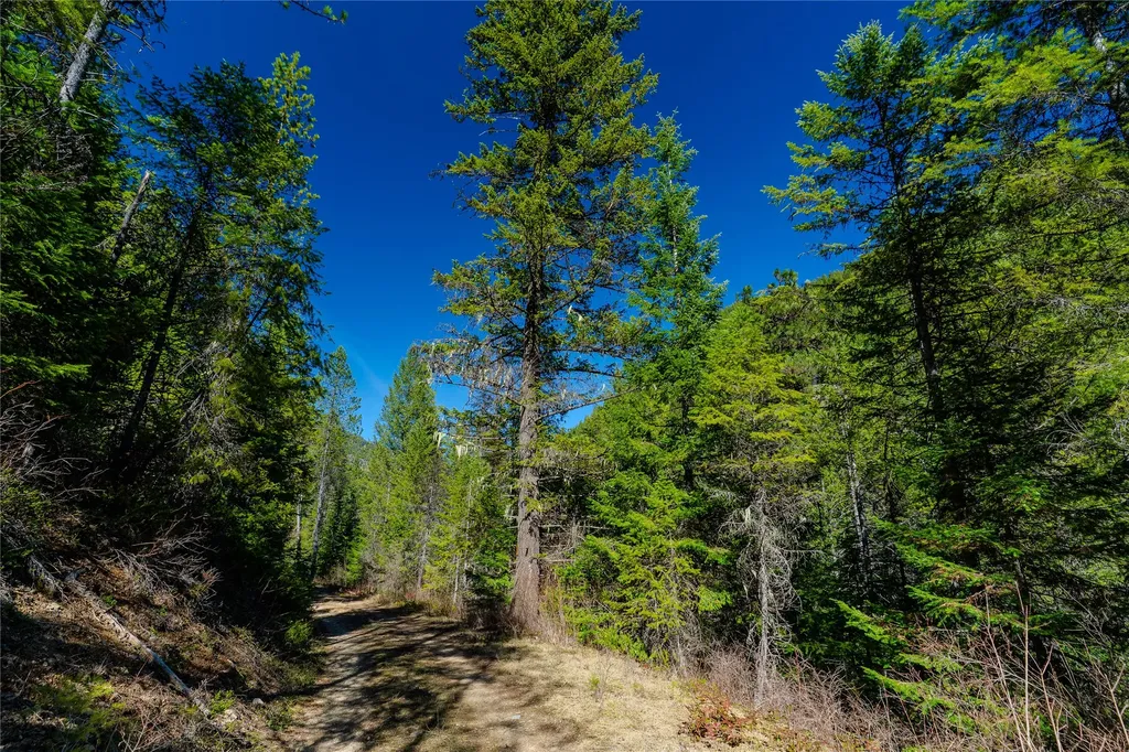 Nhn Pilgrim Creek Road Noxon MT 59853