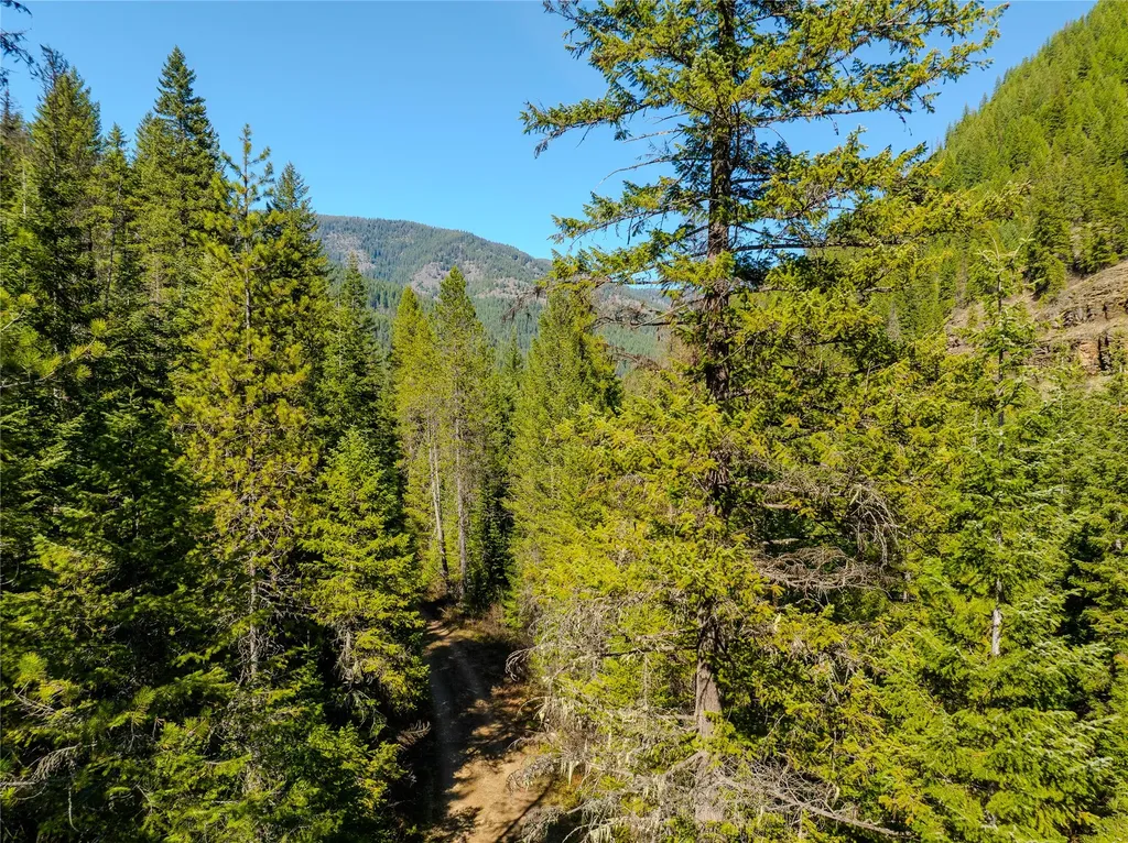 Nhn Pilgrim Creek Road Noxon MT 59853