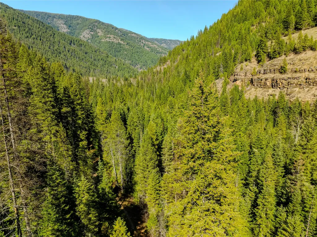 Nhn Pilgrim Creek Road Noxon MT 59853