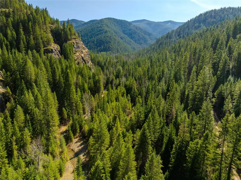 Nhn Pilgrim Creek Road Noxon MT 59853