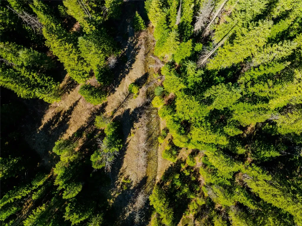 Nhn Pilgrim Creek Road Noxon MT 59853