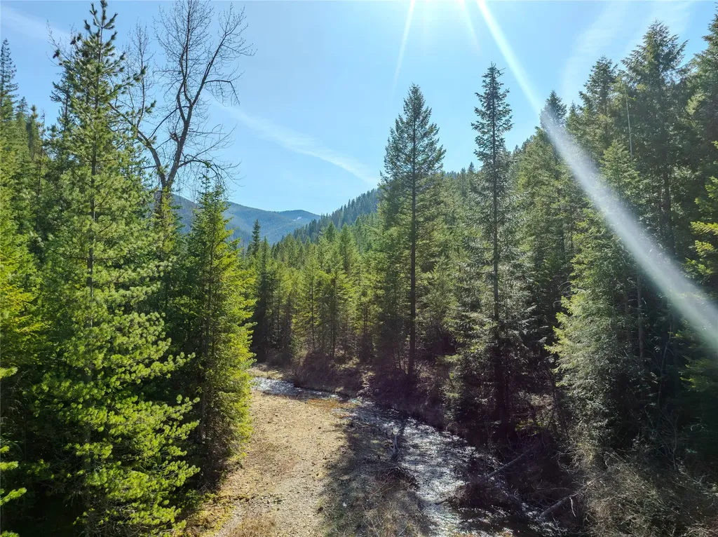 Nhn Pilgrim Creek Road Noxon MT 59853