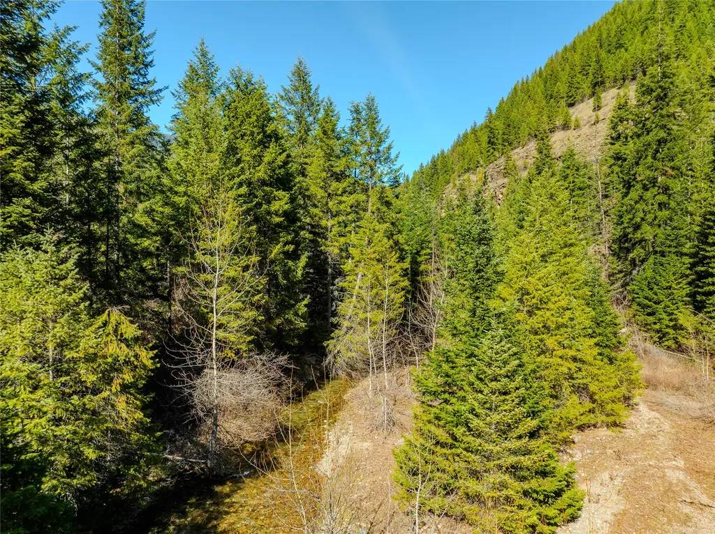 Nhn Pilgrim Creek Road Noxon MT 59853