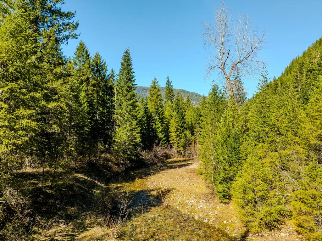 Nhn Pilgrim Creek Road Noxon MT 59853
