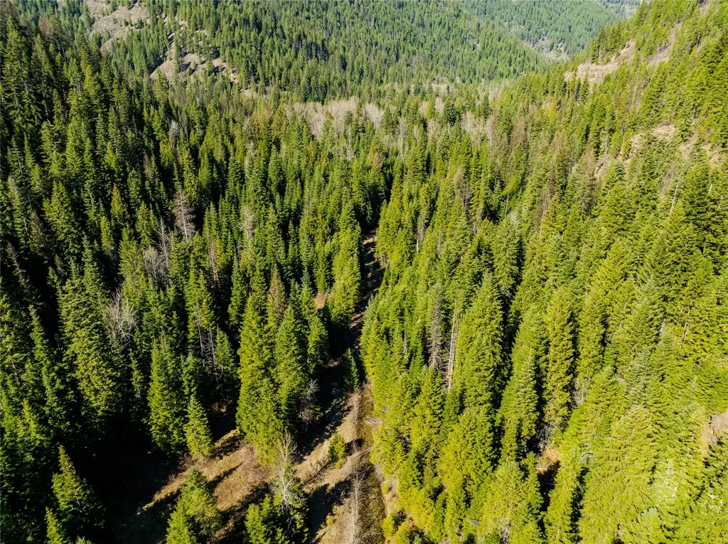 Nhn Pilgrim Creek Road Noxon MT 59853