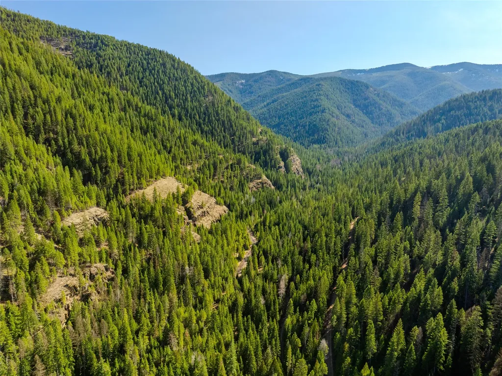 Nhn Pilgrim Creek Road Noxon MT 59853