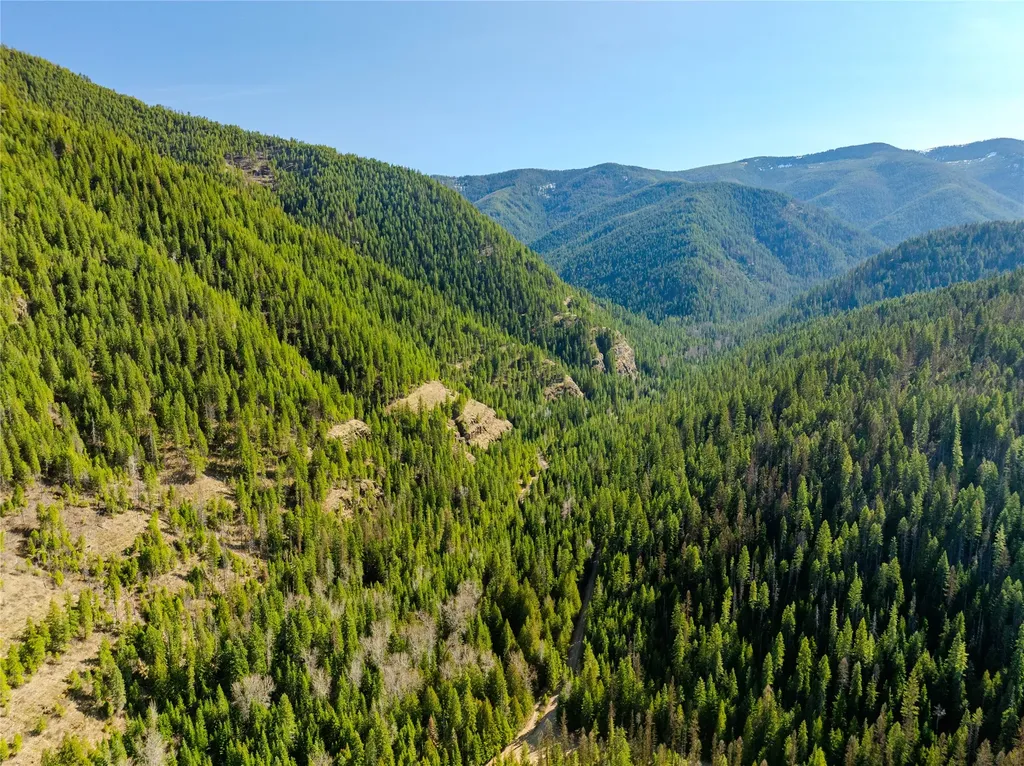 Nhn Pilgrim Creek Road Noxon MT 59853