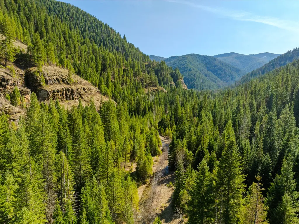 Nhn Pilgrim Creek Road Noxon MT 59853