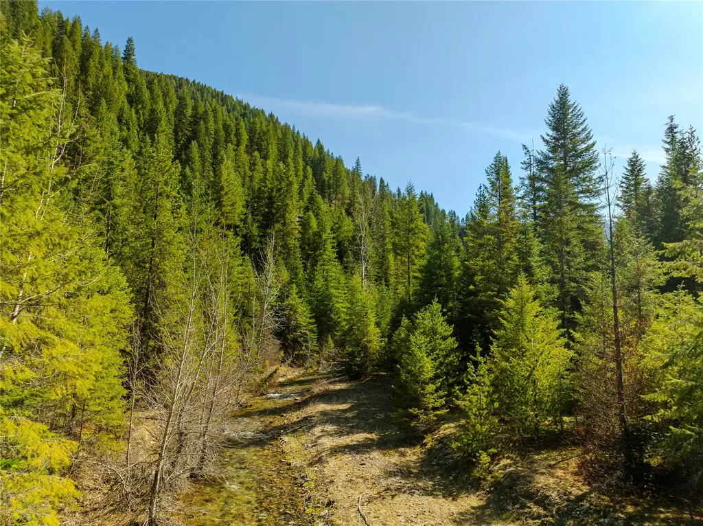 Nhn Pilgrim Creek Road Noxon MT 59853