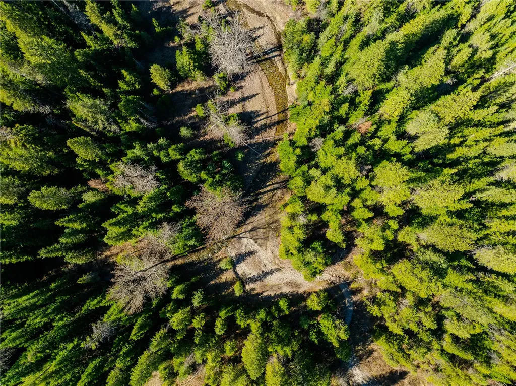Nhn Pilgrim Creek Road Noxon MT 59853