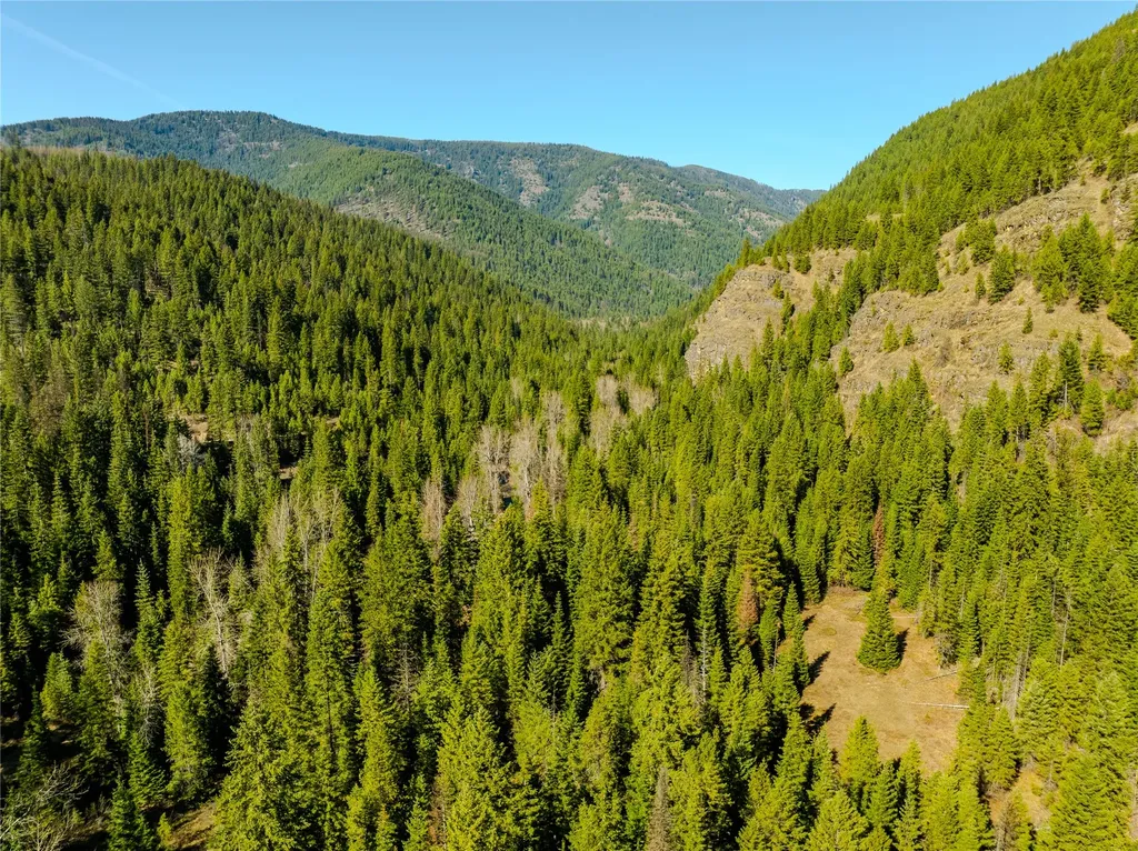Nhn Pilgrim Creek Road Noxon MT 59853