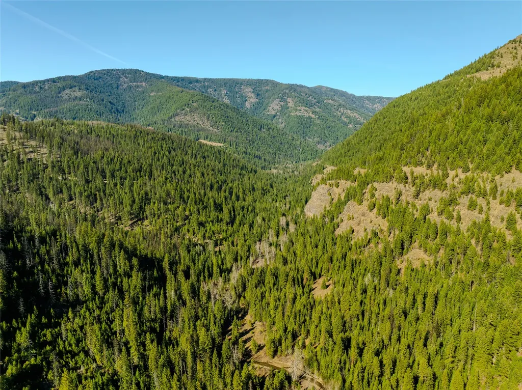 Nhn Pilgrim Creek Road Noxon MT 59853