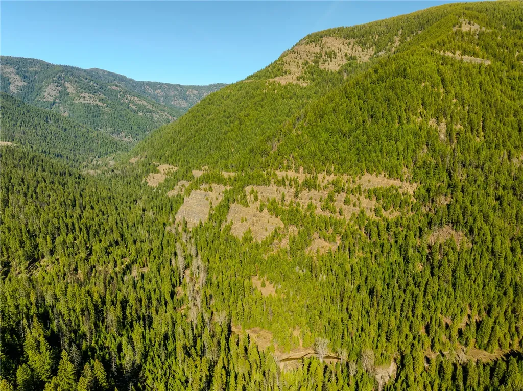 Nhn Pilgrim Creek Road Noxon MT 59853