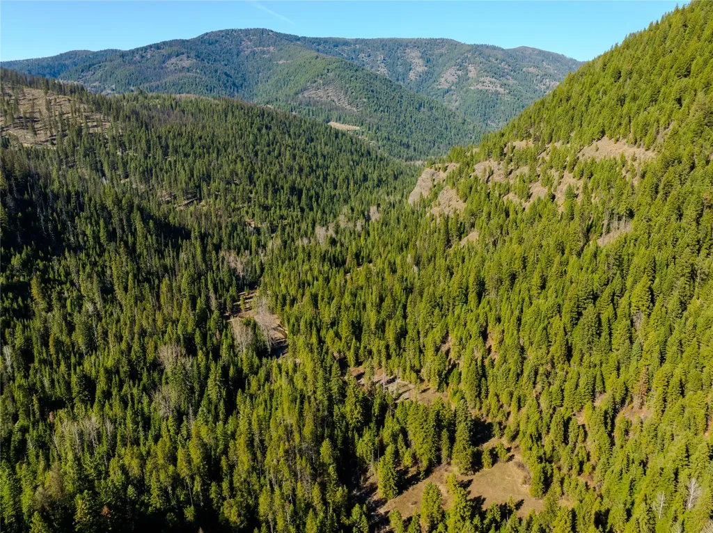 Nhn Pilgrim Creek Road Noxon MT 59853