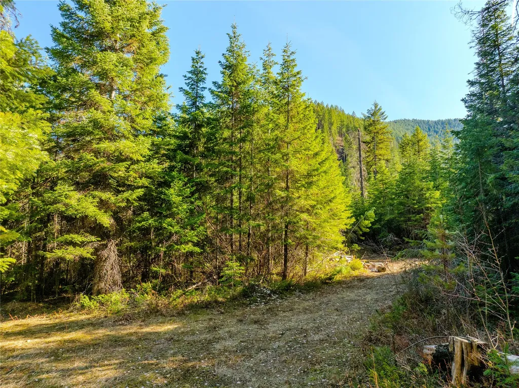 Nhn Pilgrim Creek Road Noxon MT 59853