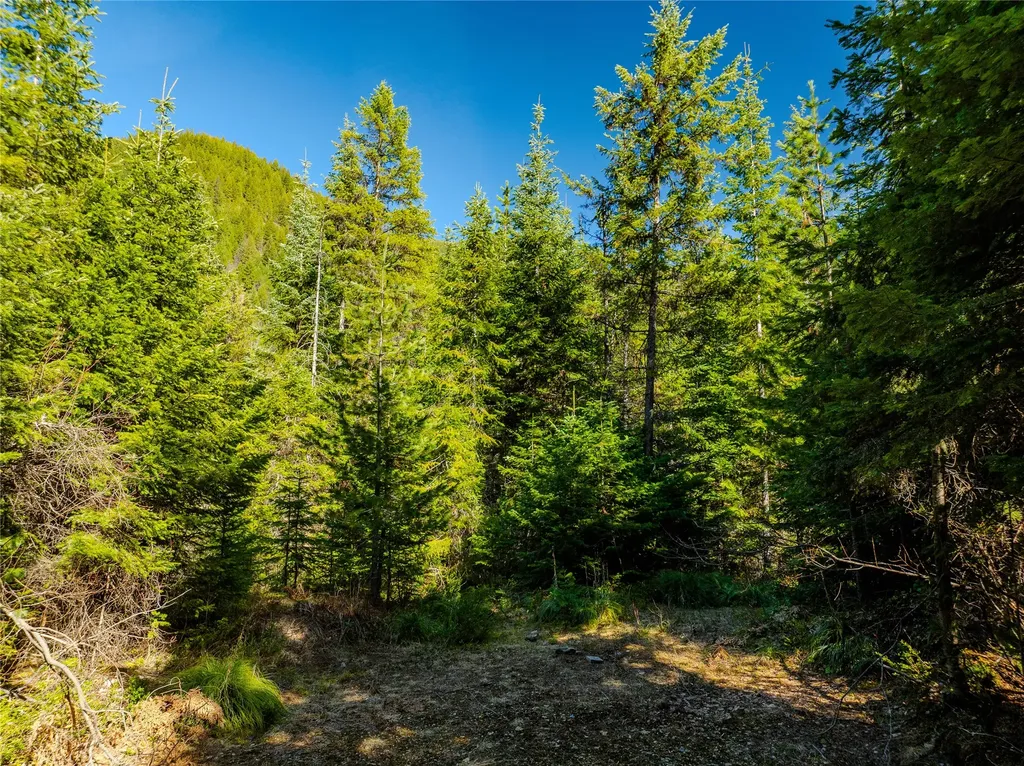Nhn Pilgrim Creek Road Noxon MT 59853