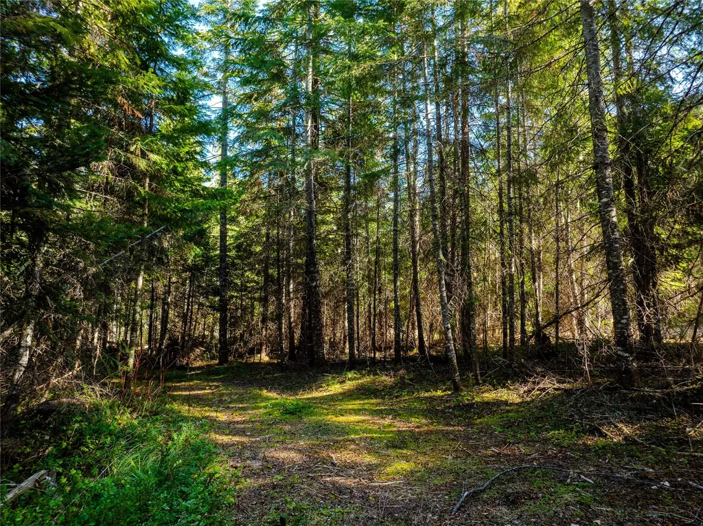 Nhn Pilgrim Creek Road Noxon MT 59853