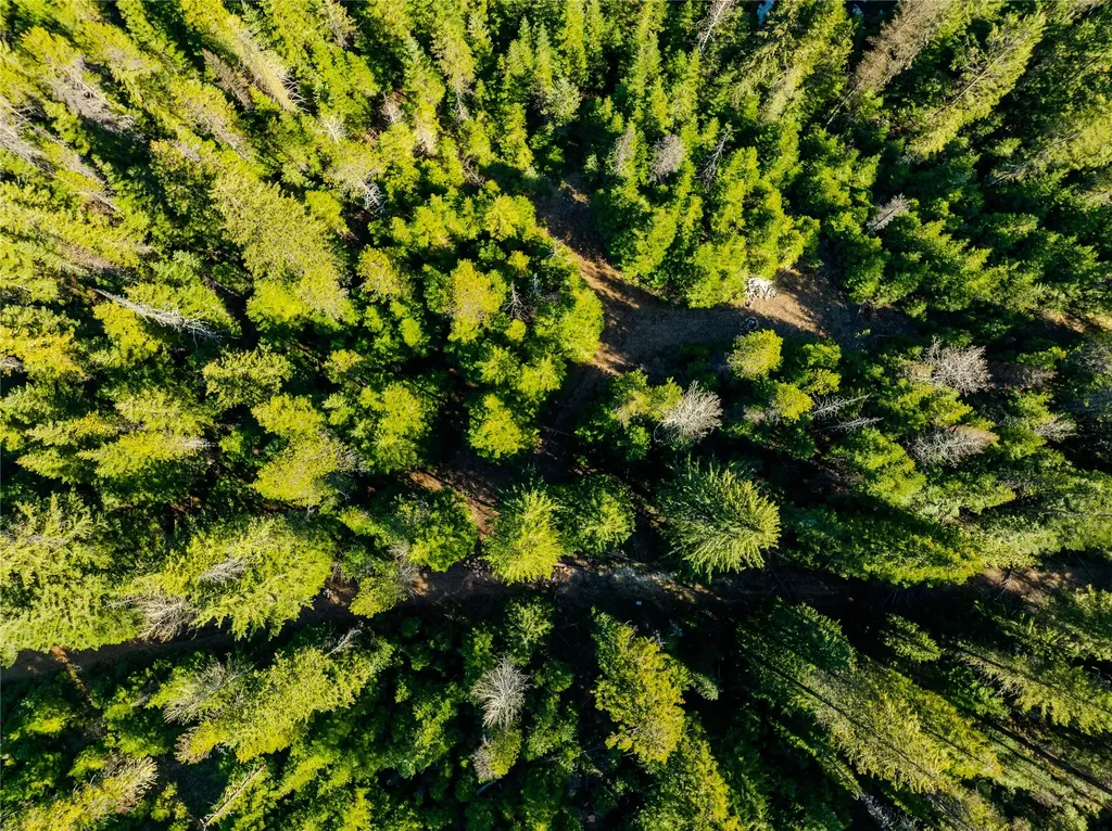 Nhn Pilgrim Creek Road Noxon MT 59853