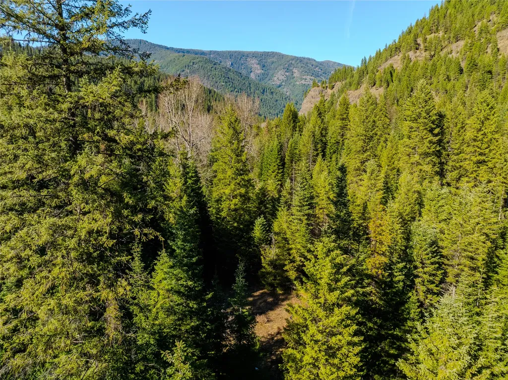 Nhn Pilgrim Creek Road Noxon MT 59853